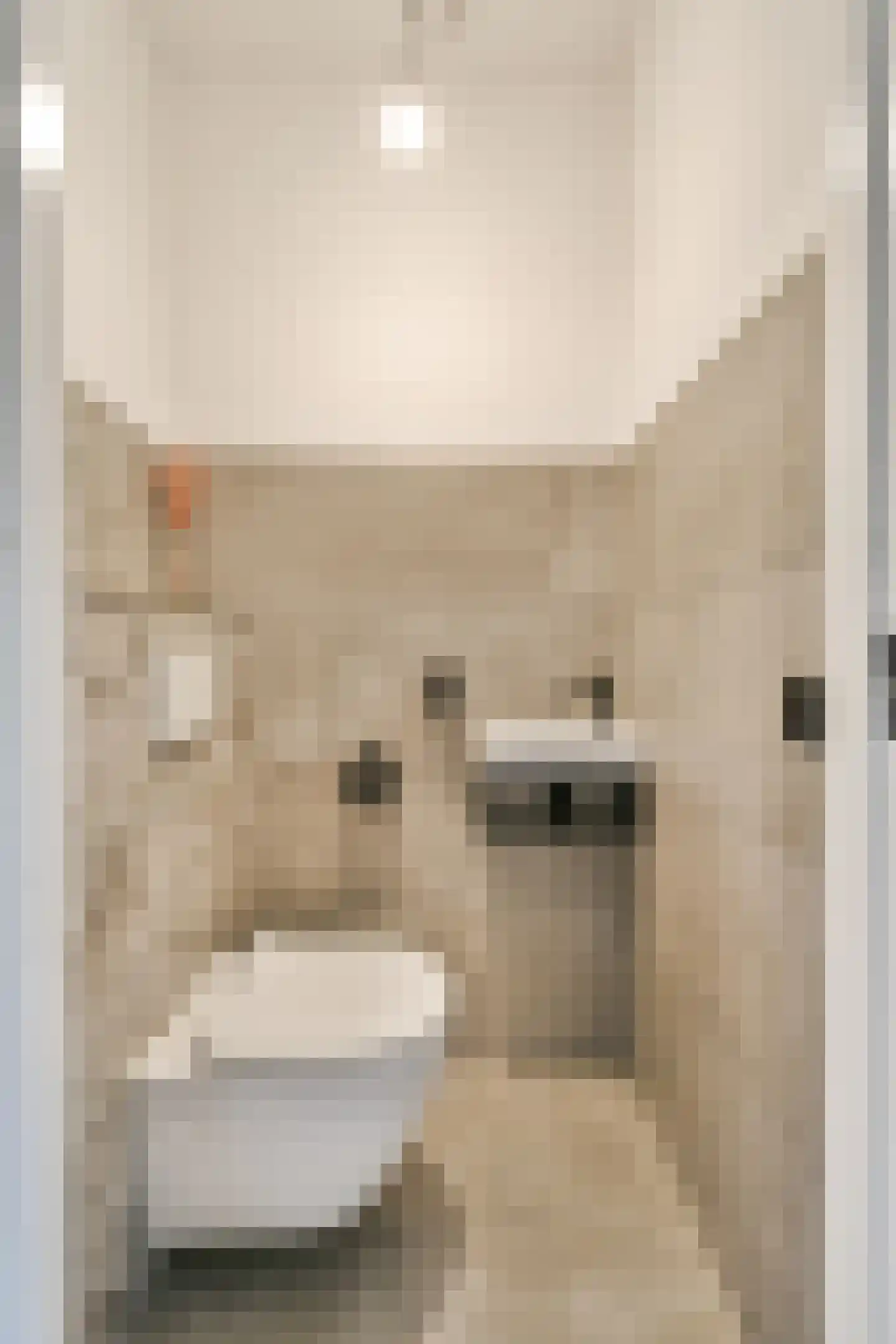 Blauwvoetstraat 21 Amsterdam thumbnail 22