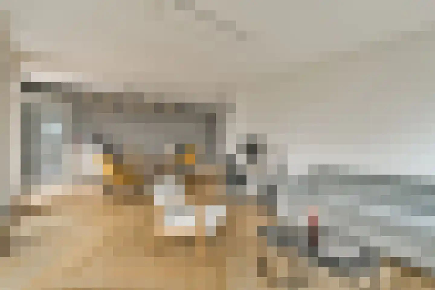 Blauwvoetstraat 21 Amsterdam thumbnail 5