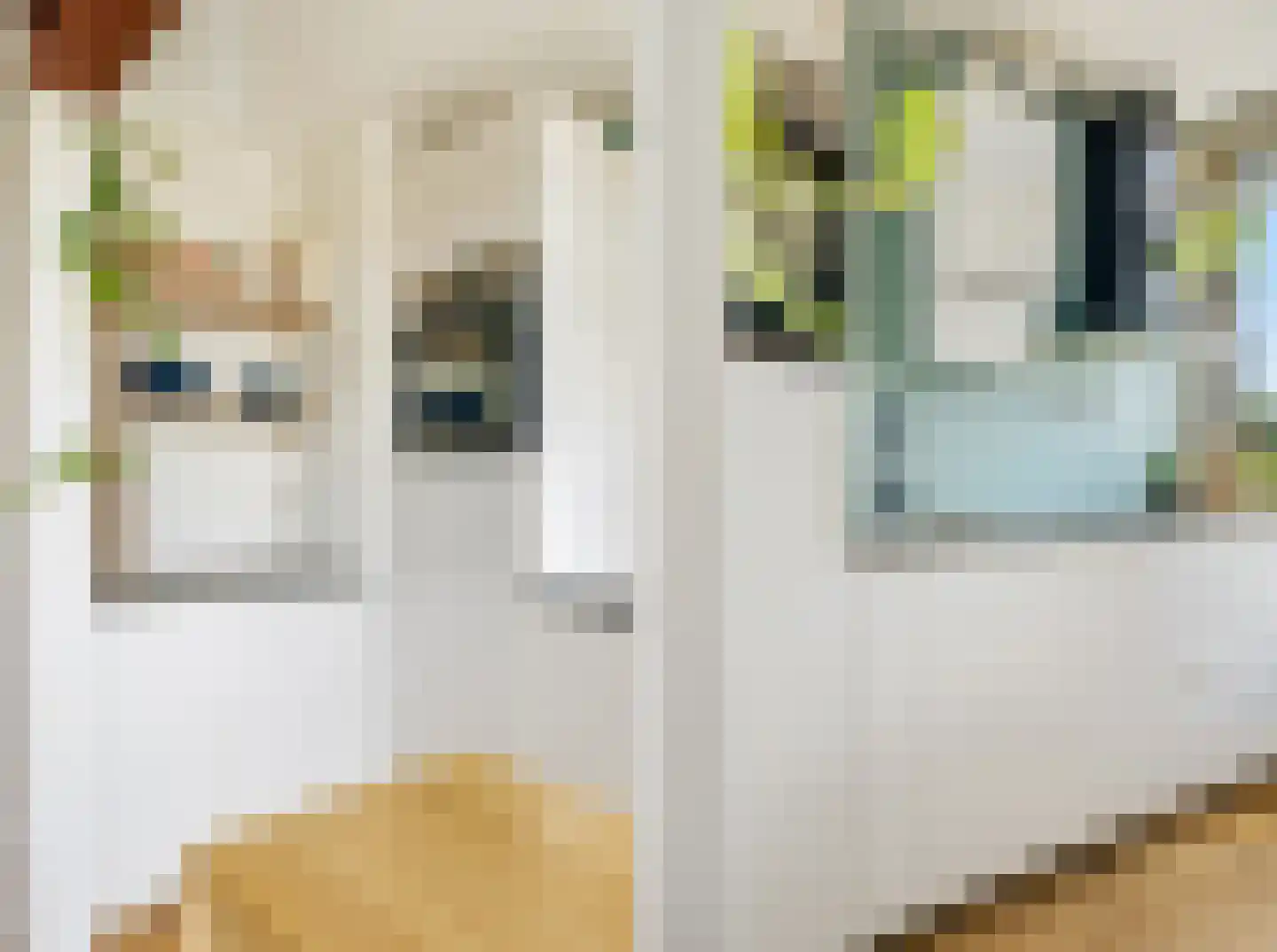 Blauwvoetstraat 4 3 Amsterdam thumbnail 15