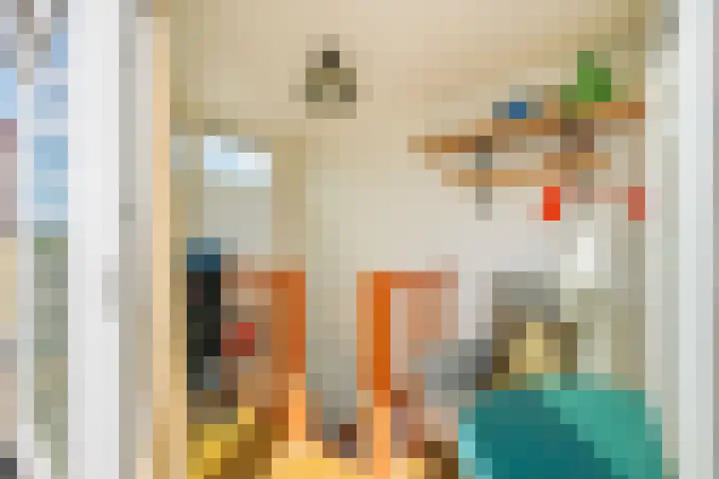 Blauwvoetstraat 4 3 Amsterdam thumbnail 27