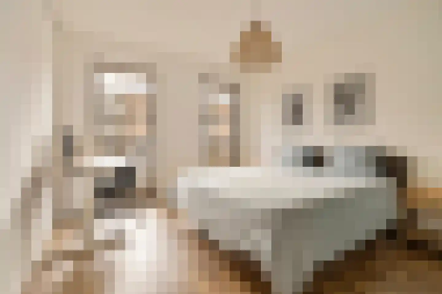 Blauwvoetstraat 7 Amsterdam thumbnail 10
