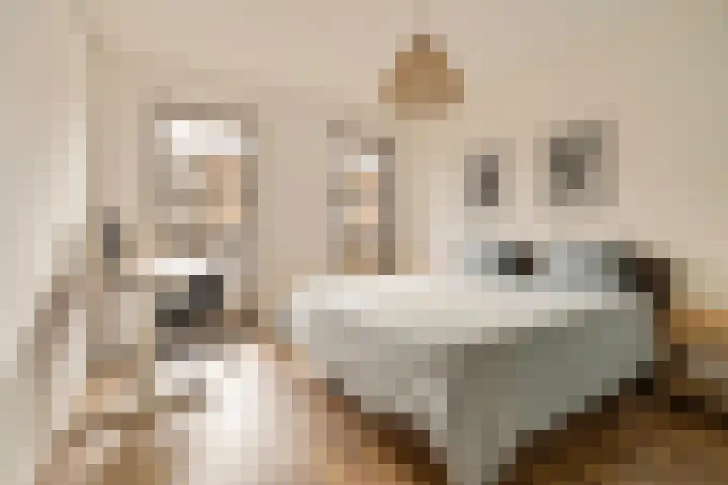 Blauwvoetstraat 7 Amsterdam thumbnail 10