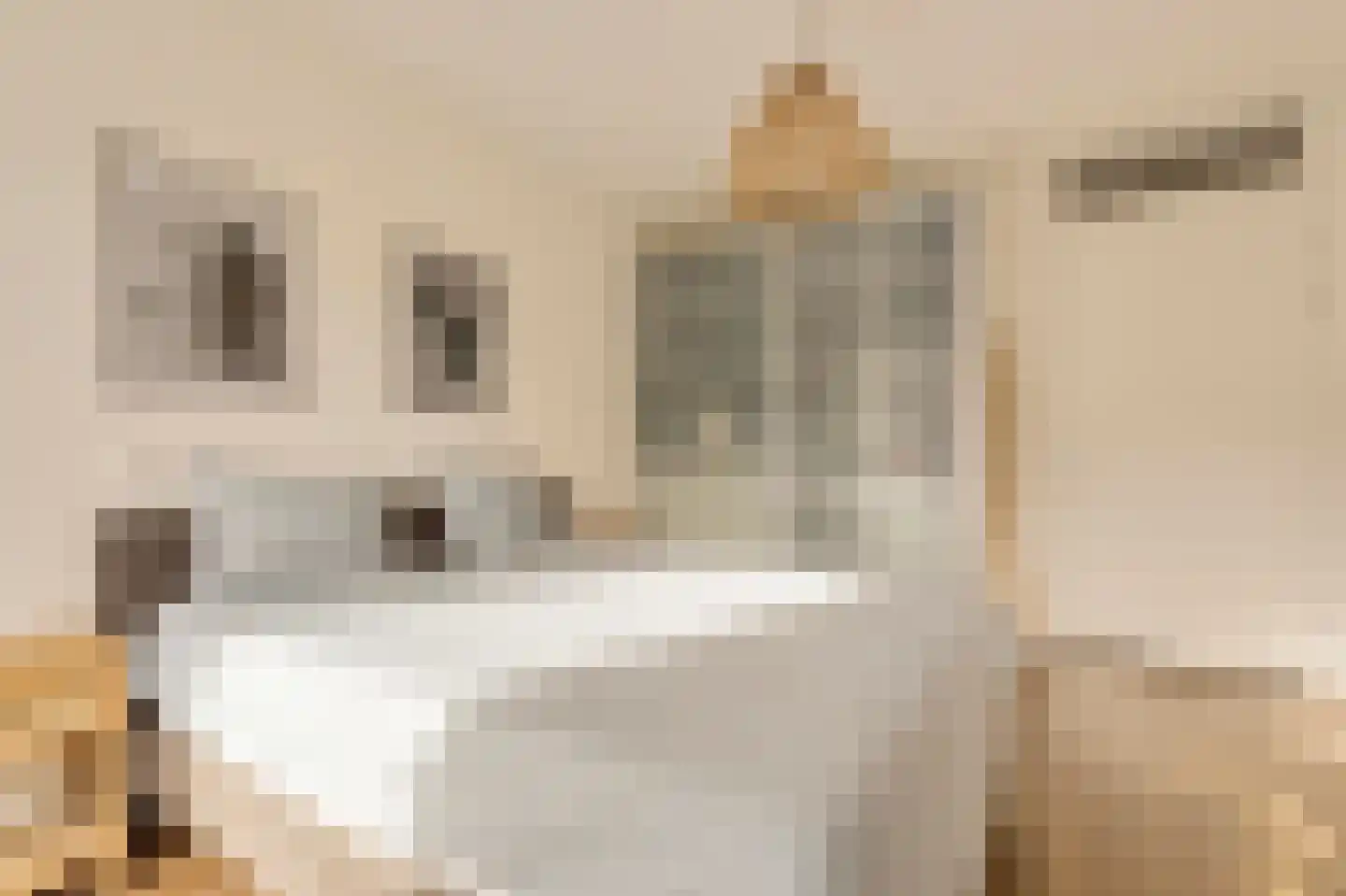 Blauwvoetstraat 7 Amsterdam thumbnail 11