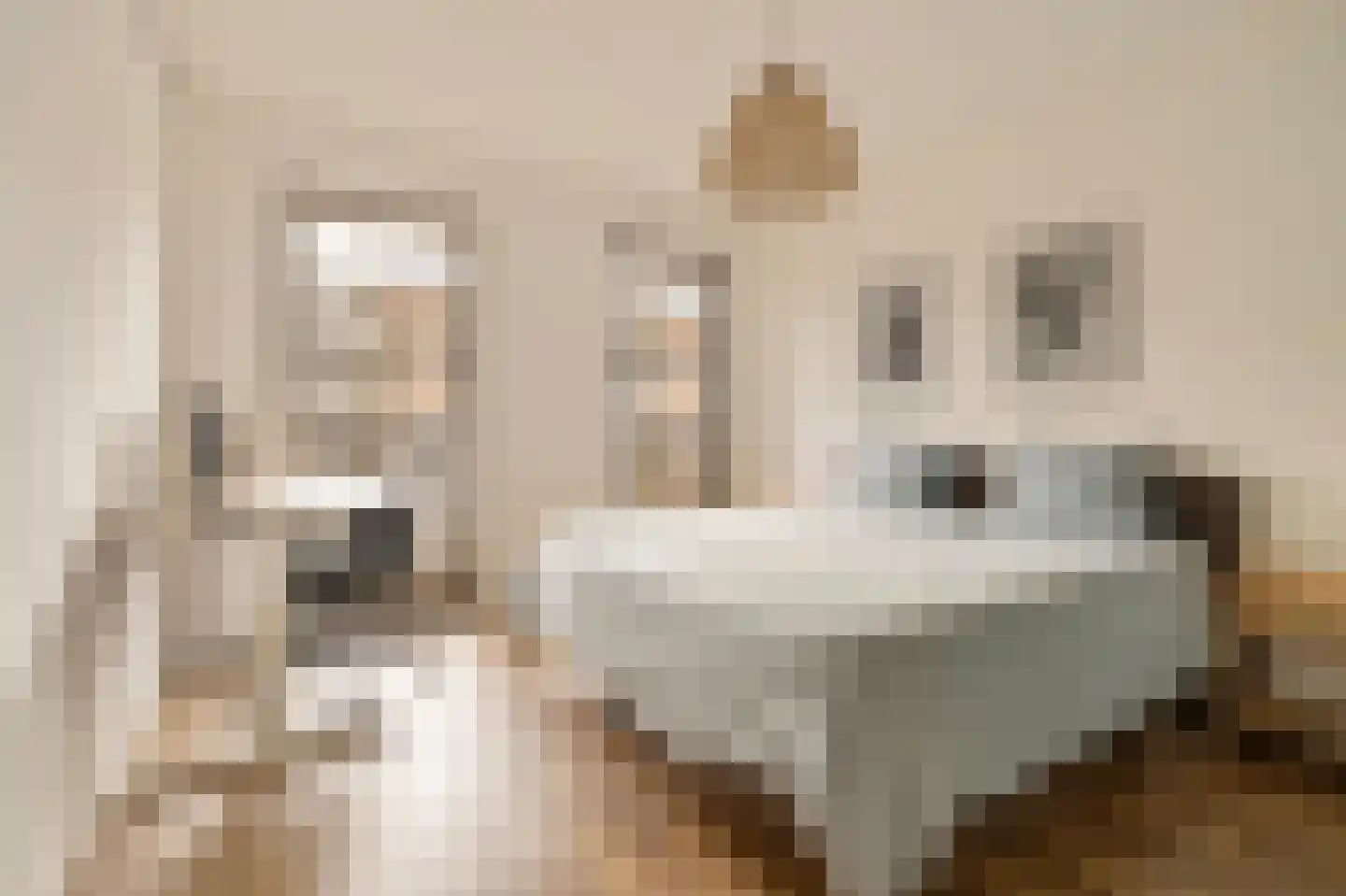 Blauwvoetstraat 7 Amsterdam thumbnail 11