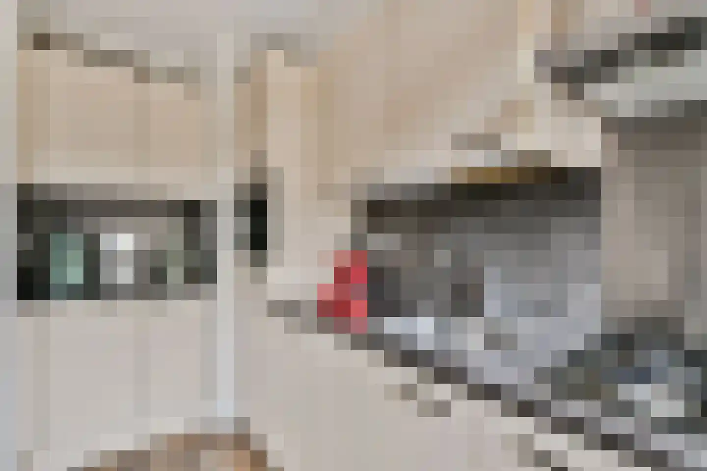 Blauwvoetstraat 8 1 Amsterdam thumbnail 10