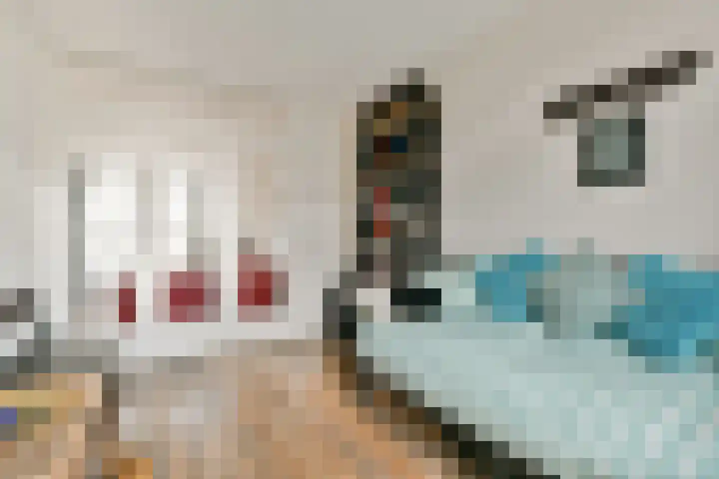 Blauwvoetstraat 8 1 Amsterdam thumbnail 15