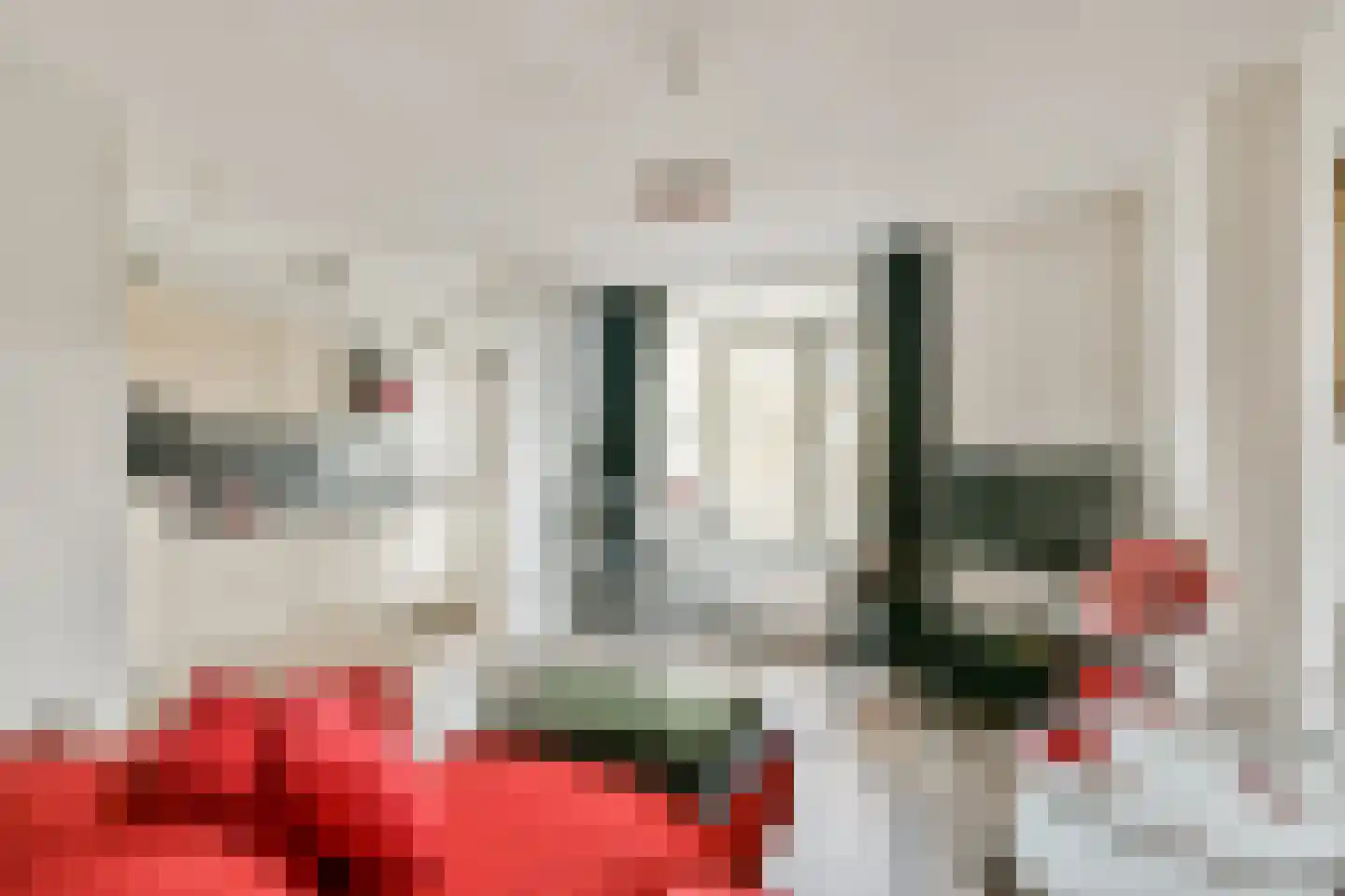 Blauwvoetstraat 8 1 Amsterdam thumbnail 4