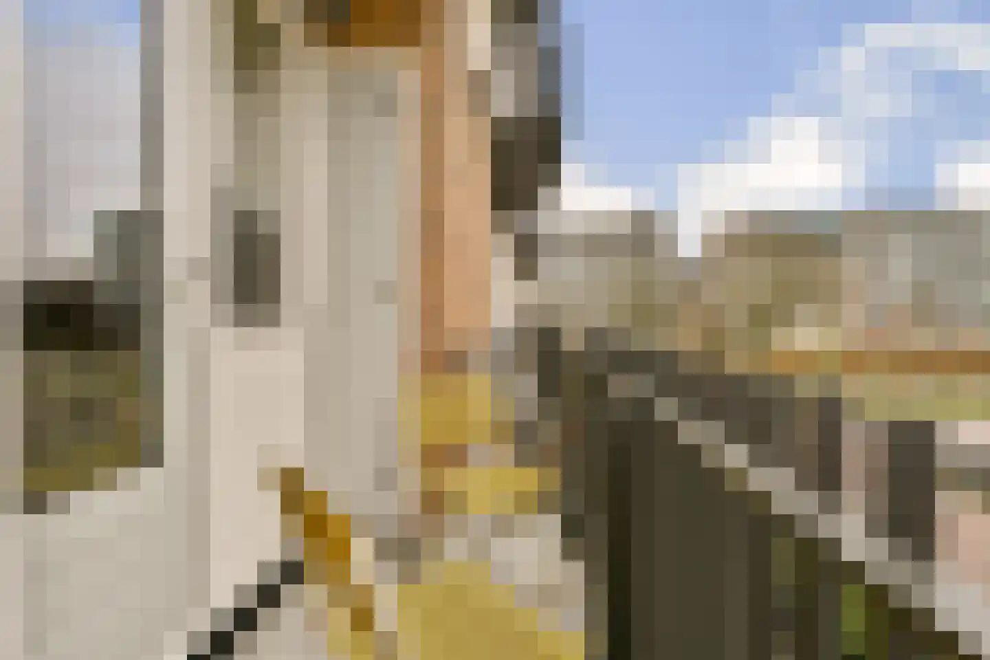 Blauwvoetstraat 8 2 Amsterdam thumbnail 11