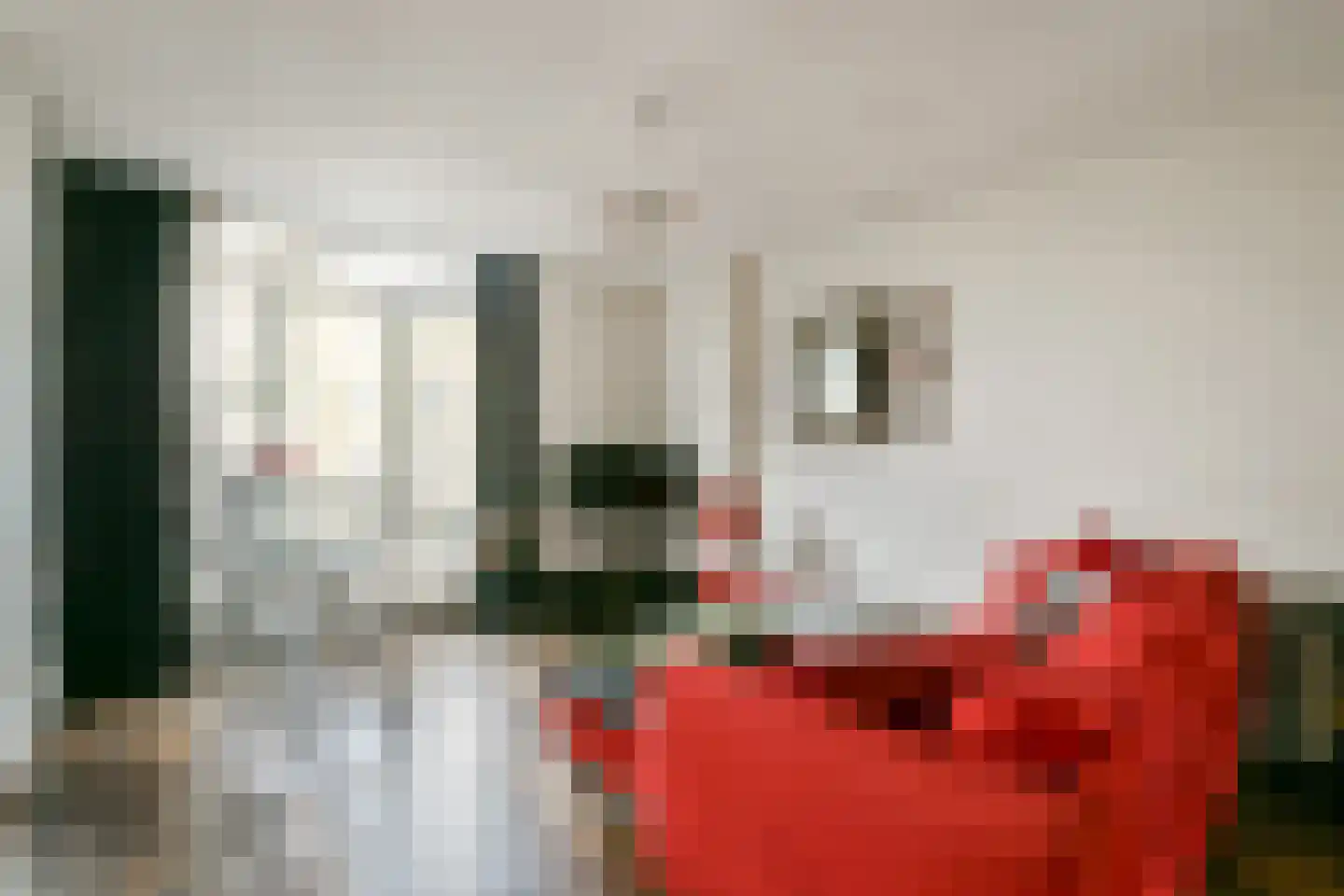 Blauwvoetstraat 8 2 Amsterdam thumbnail 5