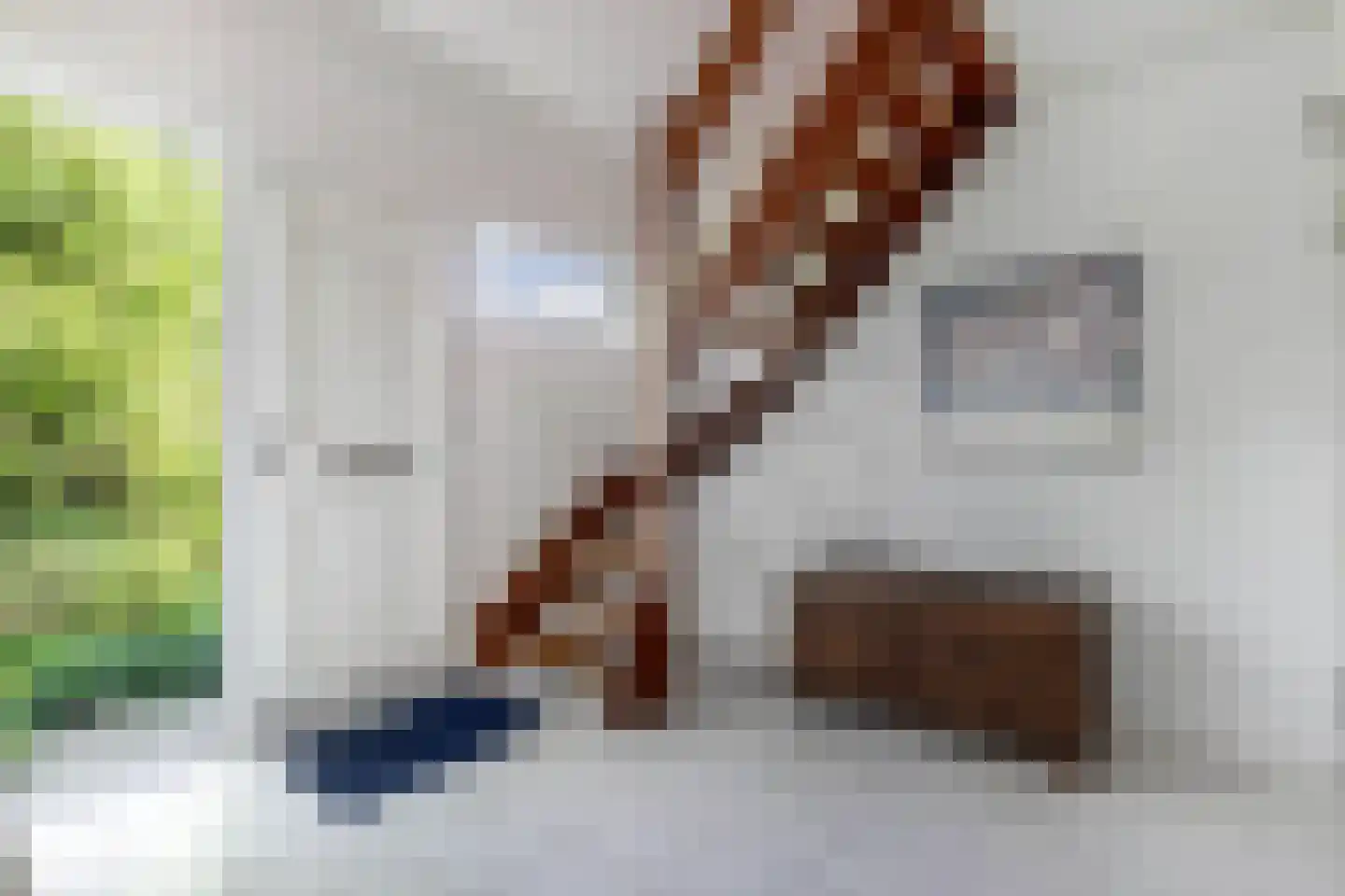 Blazer 21 Lemmer thumbnail 7