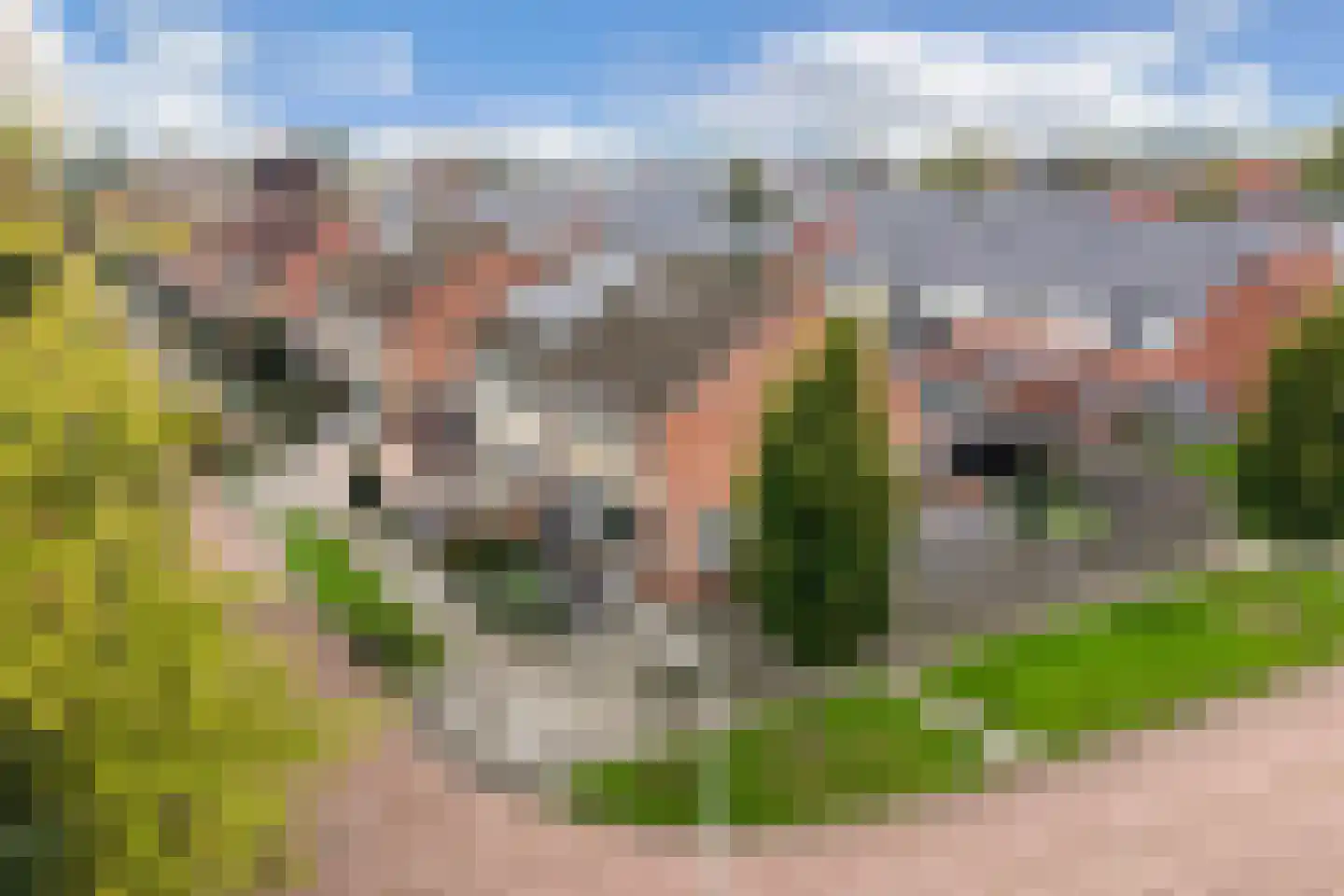 Blazer 22 Lemmer thumbnail 49