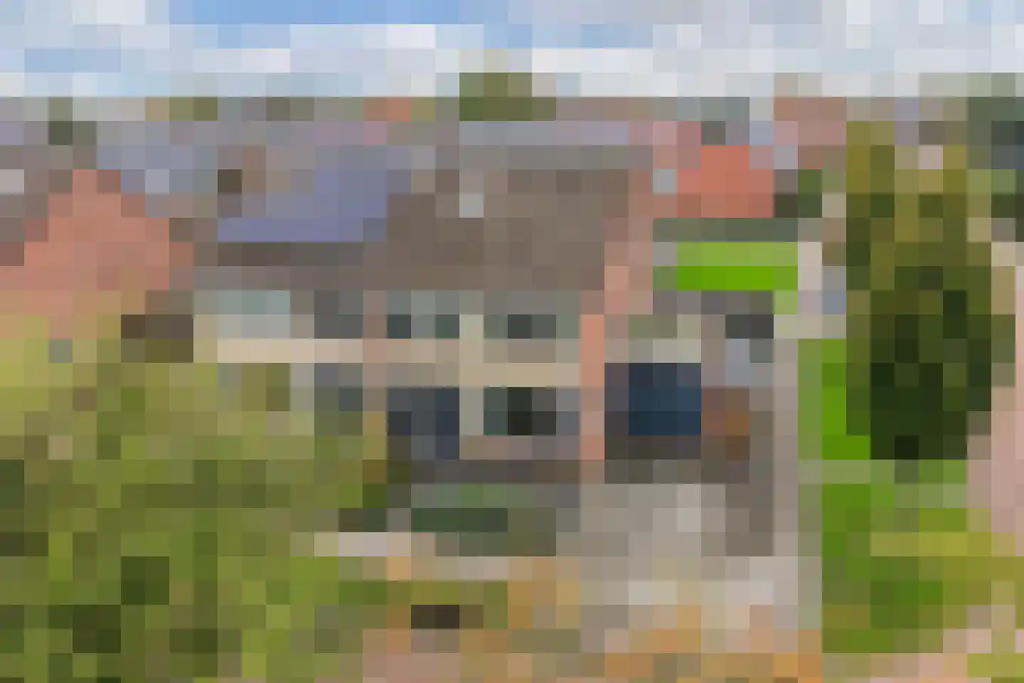 Blazer 22 Lemmer thumbnail 6