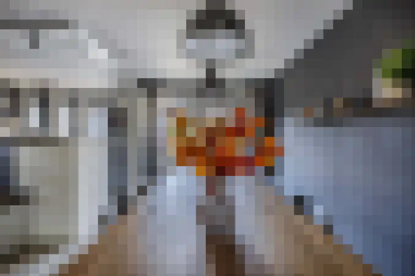 Blazer 4 Lemmer thumbnail 20