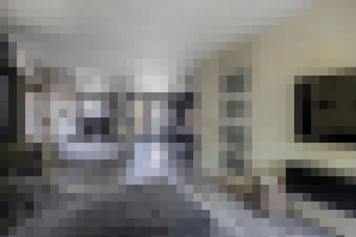 Blazer 4 Lemmer thumbnail 4