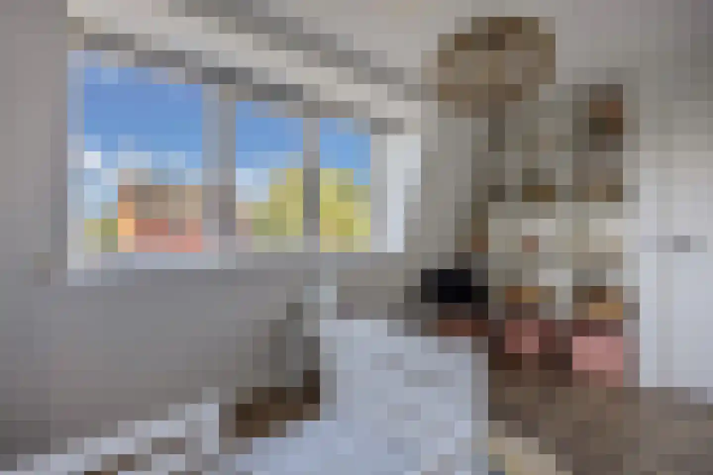 Blazer 4 Lemmer thumbnail 44