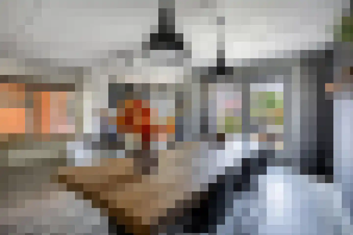 Blazer 4 Lemmer thumbnail 5