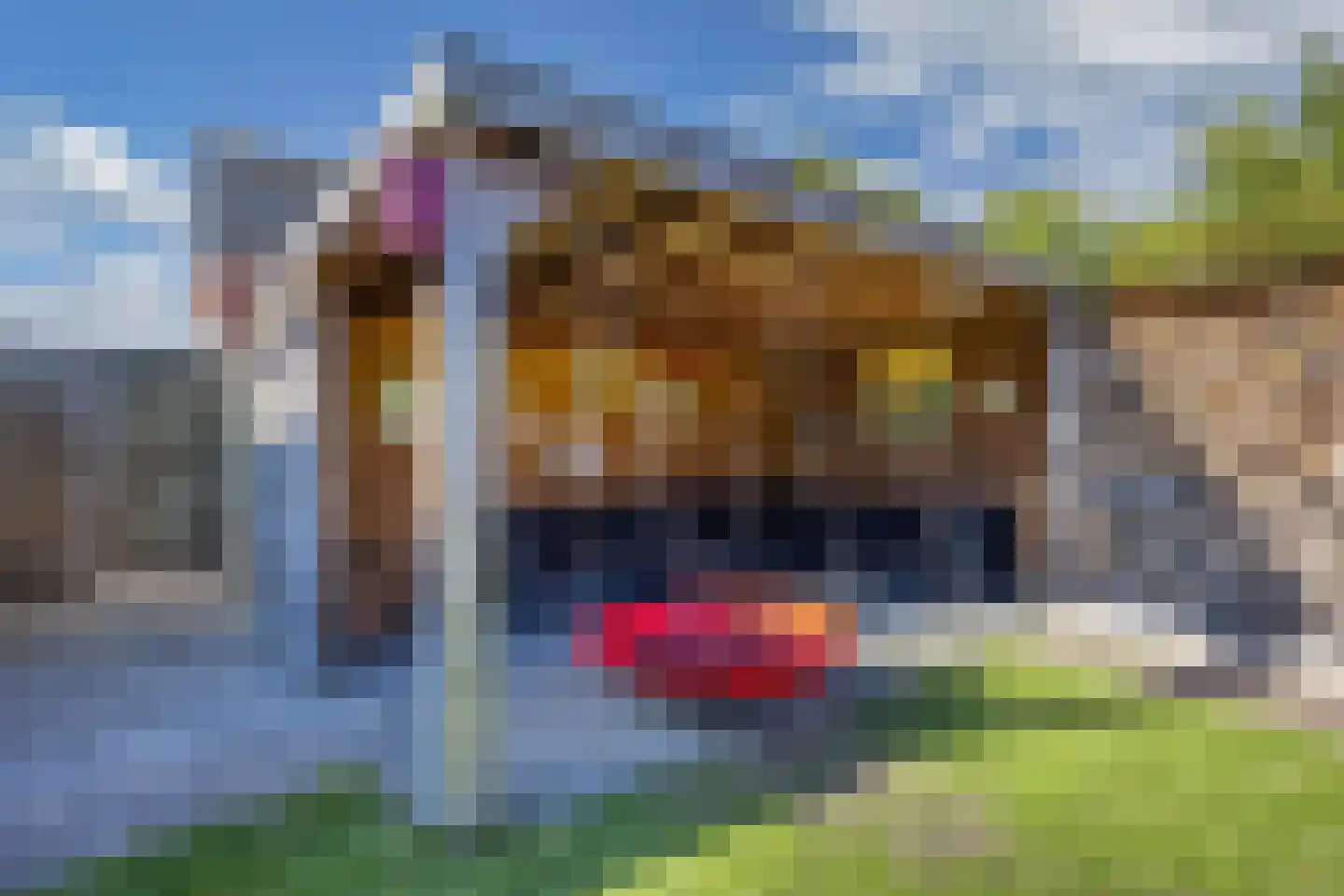 Blazer 4 Lemmer thumbnail 53