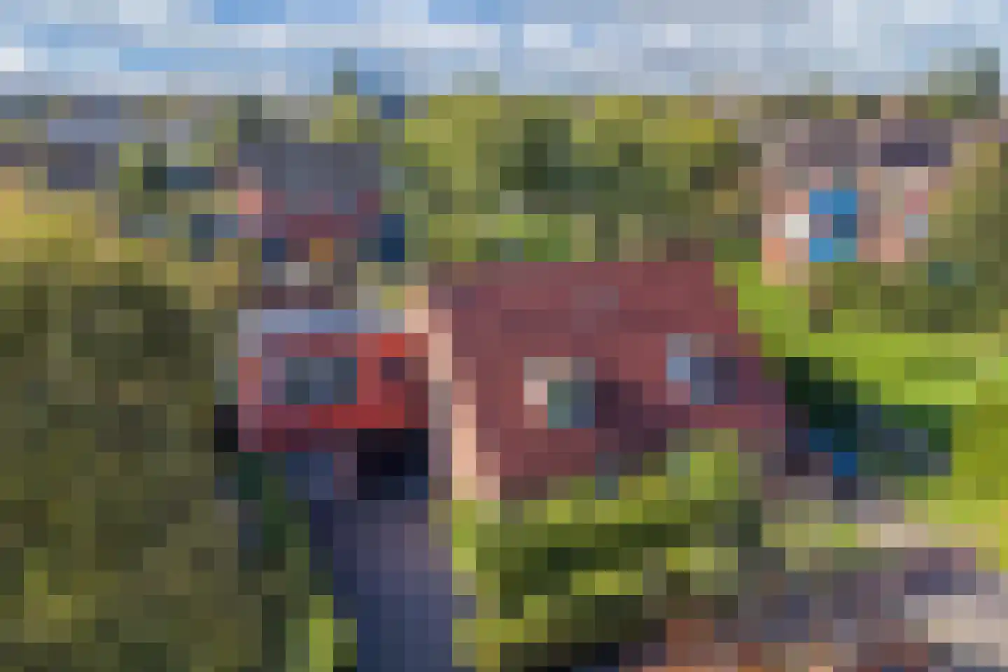 Blazer 4 Lemmer thumbnail 8