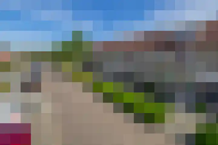 Blazer 7 Stellendam thumbnail 4