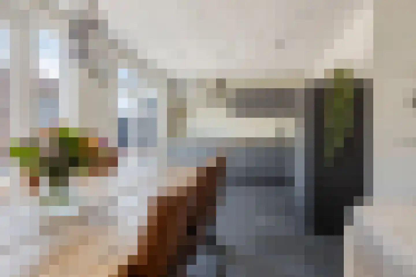 Blazoen 2 Oirschot thumbnail 17