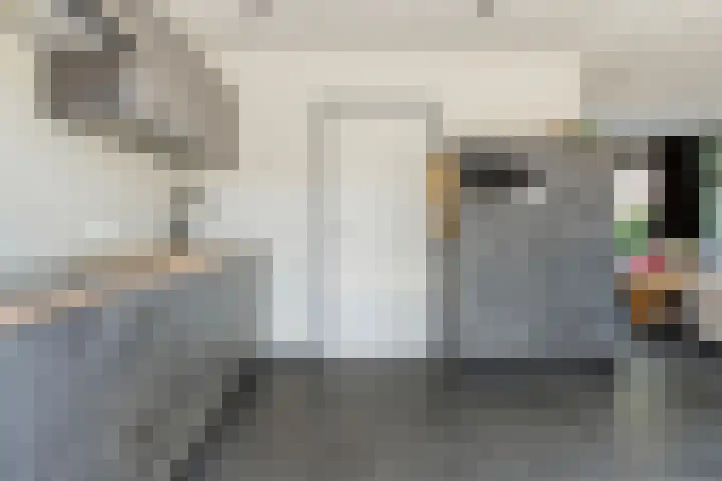 Blazoen 2 Oirschot thumbnail 21