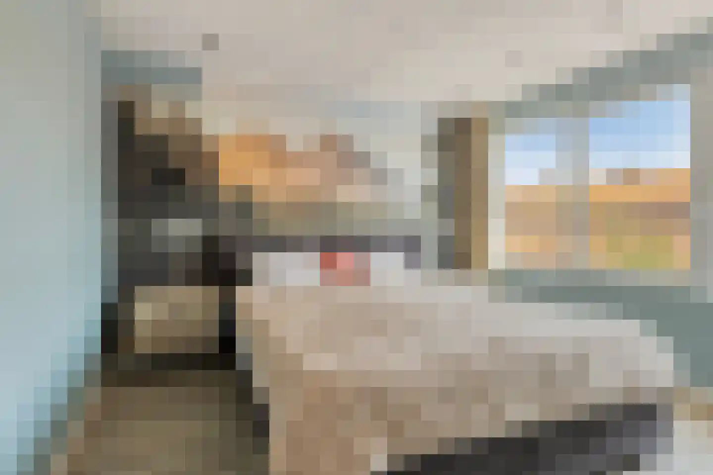 Blazoen 2 Oirschot thumbnail 25