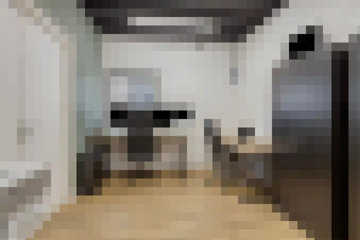 Blazoen 2 Oirschot thumbnail 4