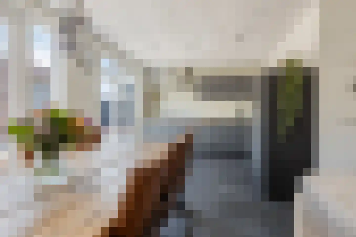 Blazoen 2 Oirschot thumbnail 6