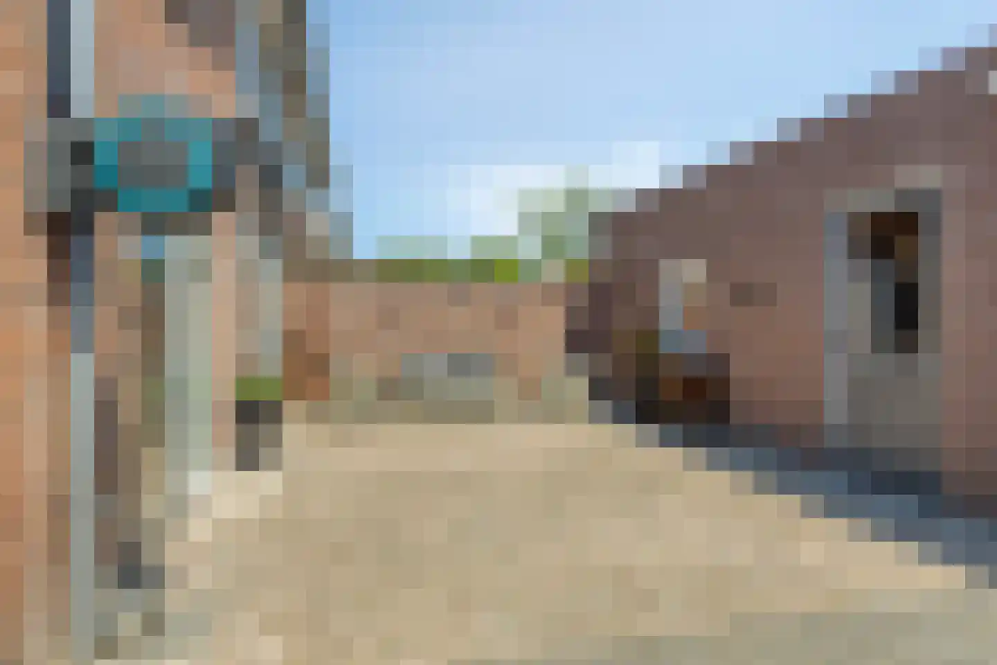 Blazoen 2 Oirschot thumbnail 8