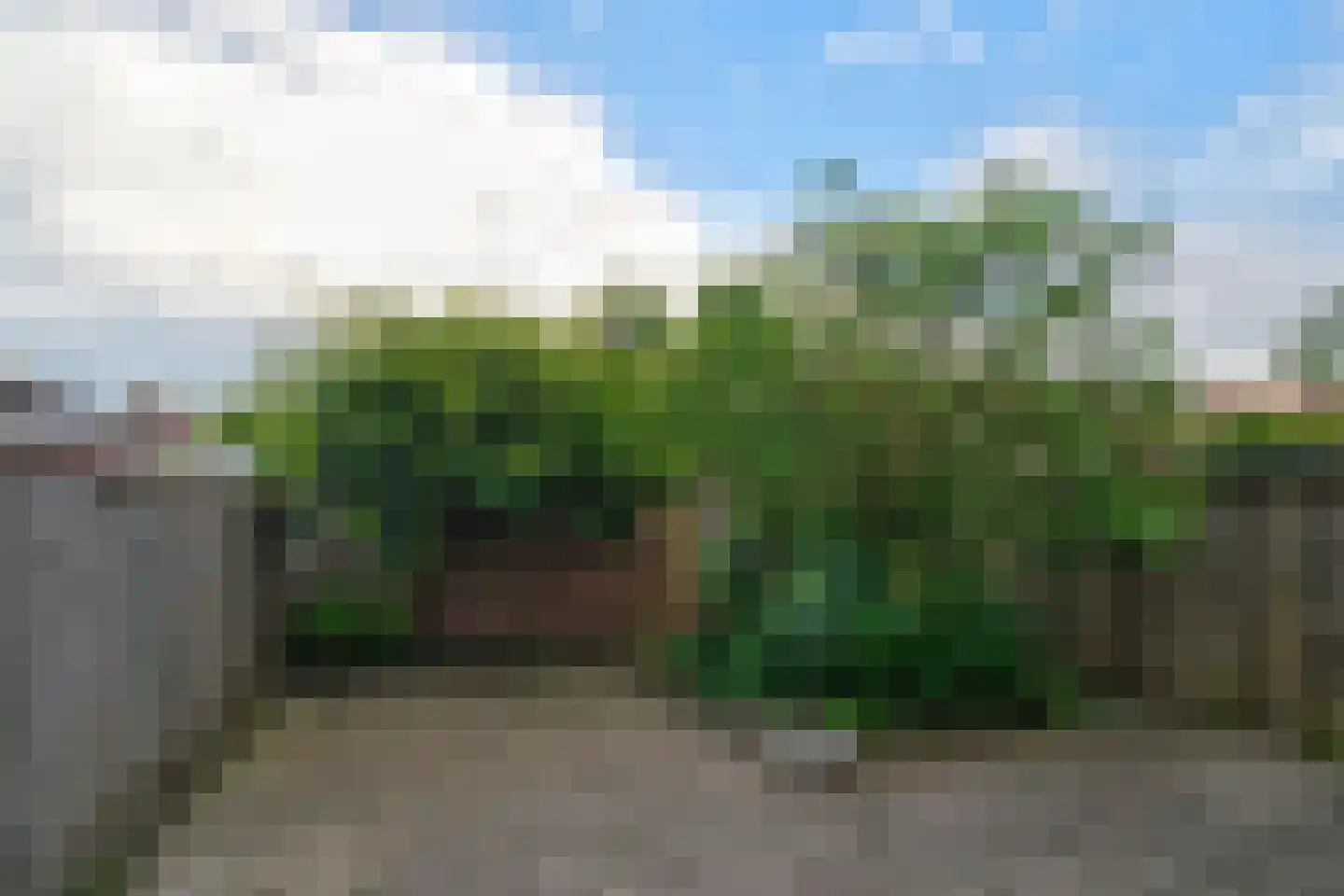Blazoen 20 Oirschot thumbnail 18