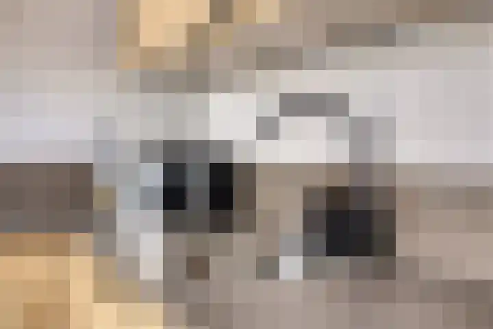 Blazoenlaan 1 a Zeeland thumbnail 12