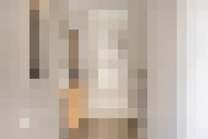 Blazoenlaan 1 a Zeeland thumbnail 13