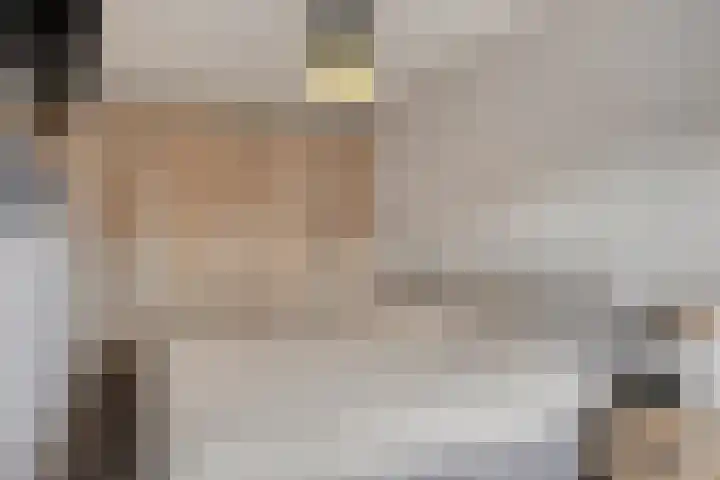 Blazoenlaan 1 a Zeeland thumbnail 17