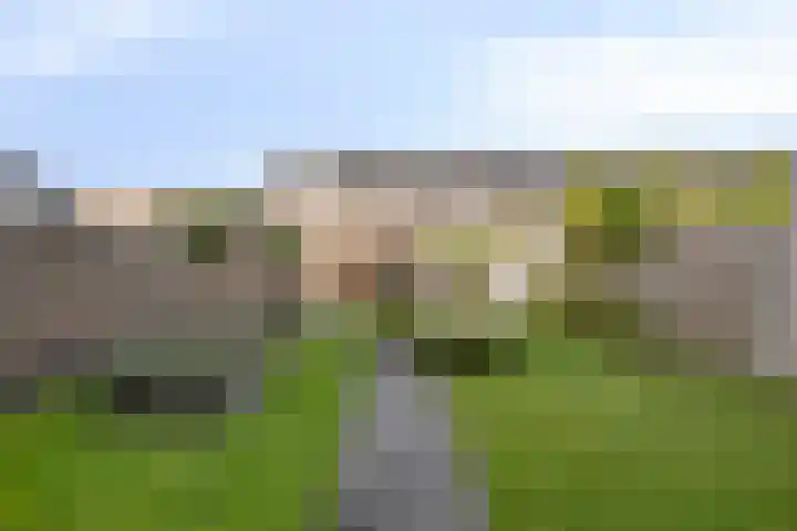 Blazoenlaan 1 a Zeeland thumbnail 22