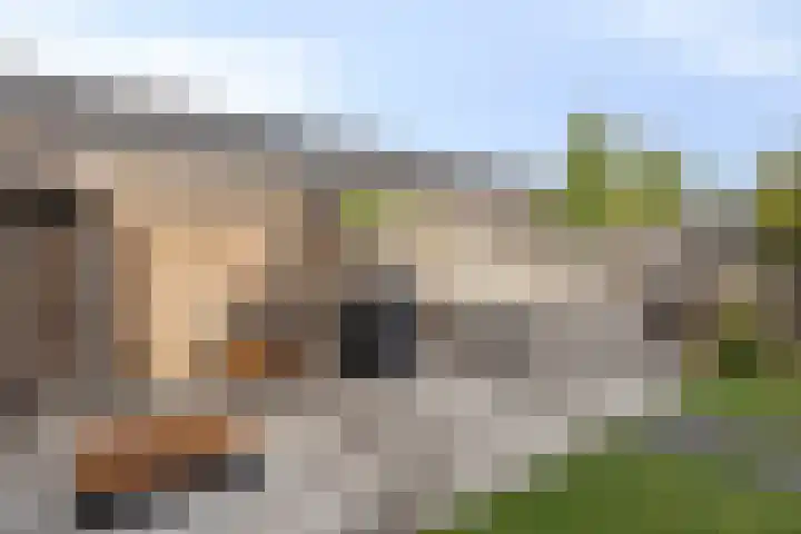 Blazoenlaan 1 a Zeeland thumbnail 23