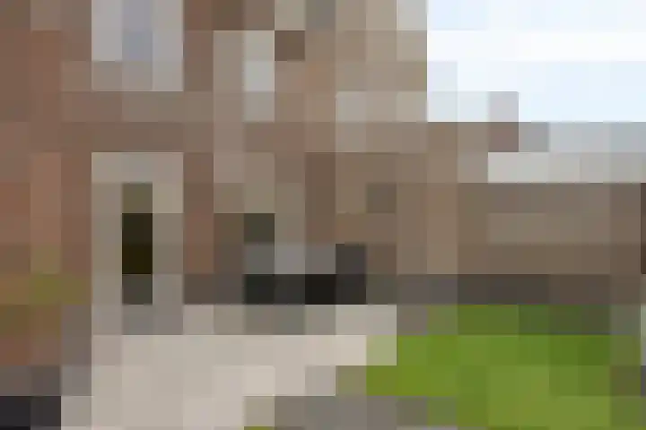 Blazoenlaan 1 a Zeeland thumbnail 24