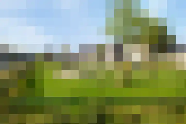 Blazoenlaan 1 a Zeeland thumbnail 30