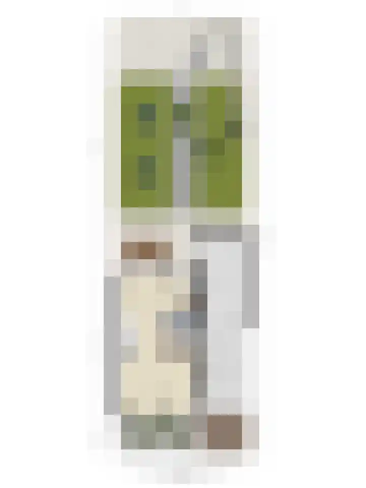 Blazoenlaan 1 a Zeeland thumbnail 31