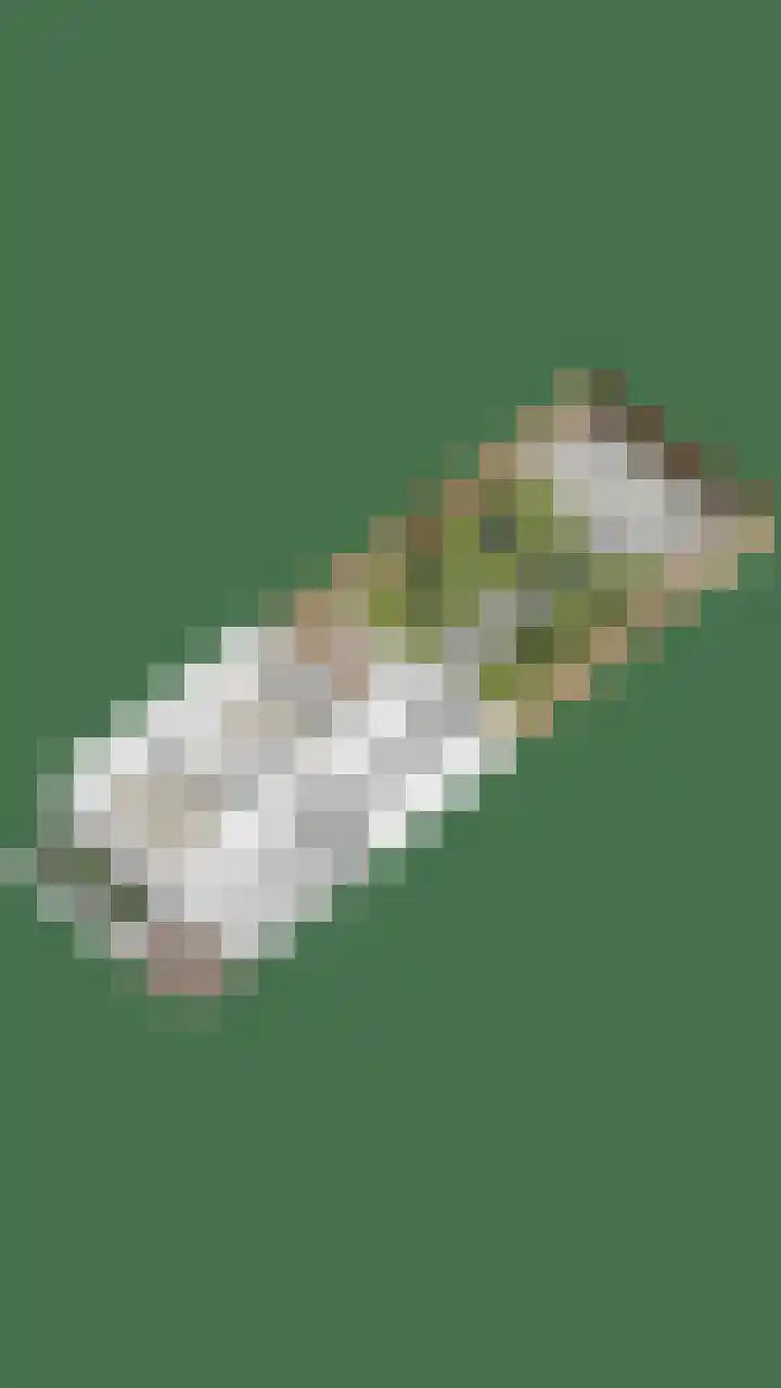 Blazoenlaan 1 a Zeeland thumbnail 32