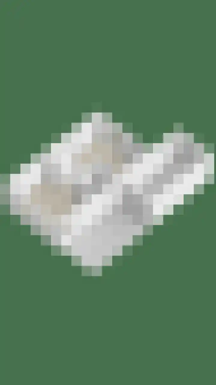 Blazoenlaan 1 a Zeeland thumbnail 34