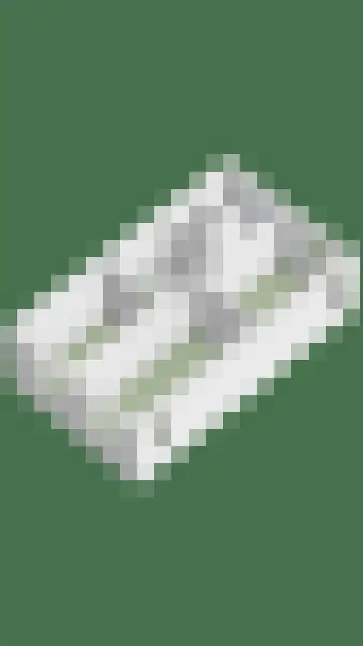 Blazoenlaan 1 a Zeeland thumbnail 36