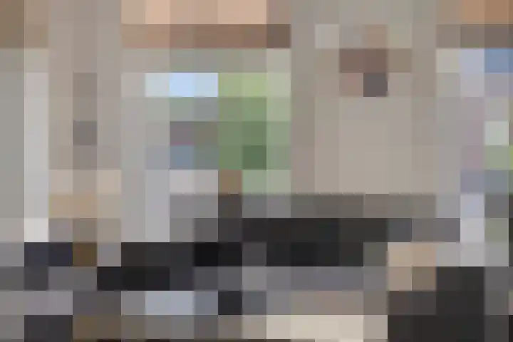 Blazoenlaan 1 a Zeeland thumbnail 5