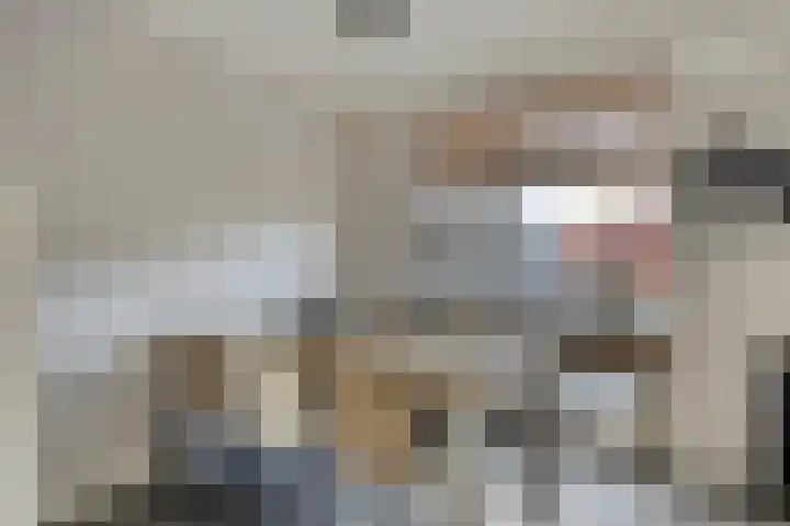 Blazoenlaan 1 a Zeeland thumbnail 8