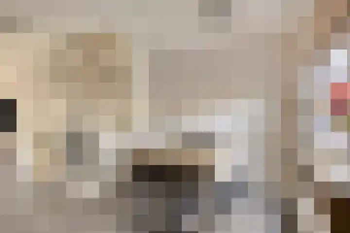 Blazoenlaan 1 a Zeeland thumbnail 9