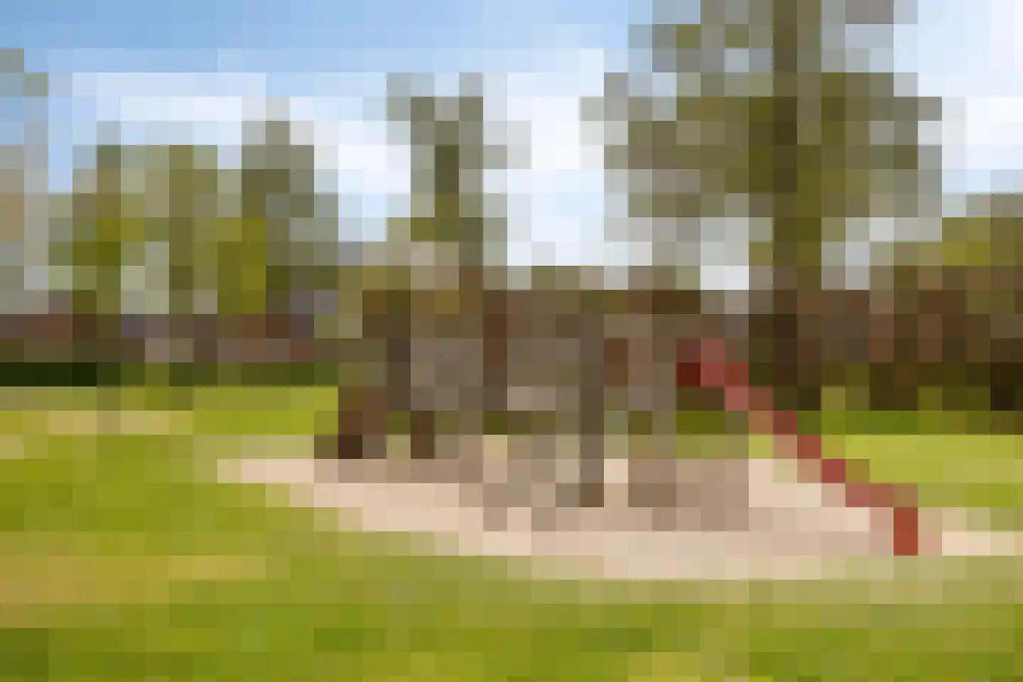 Blazoenlaan 39 Zeeland thumbnail 42