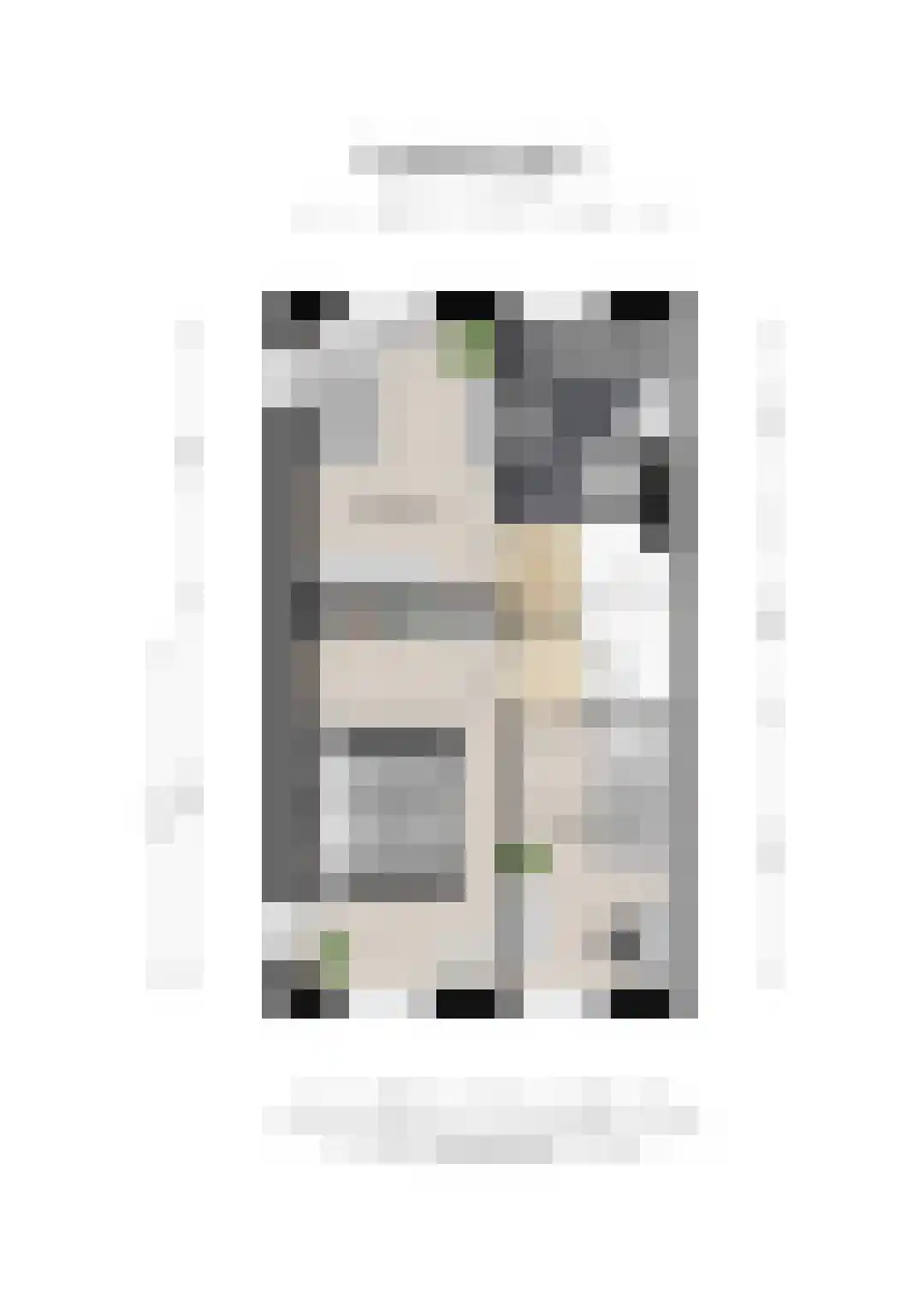 Blazoenlaan 47 a Zeeland thumbnail 43