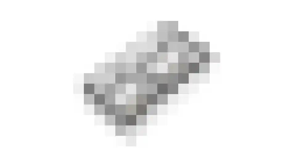 Blazoenlaan 47 a Zeeland thumbnail 45