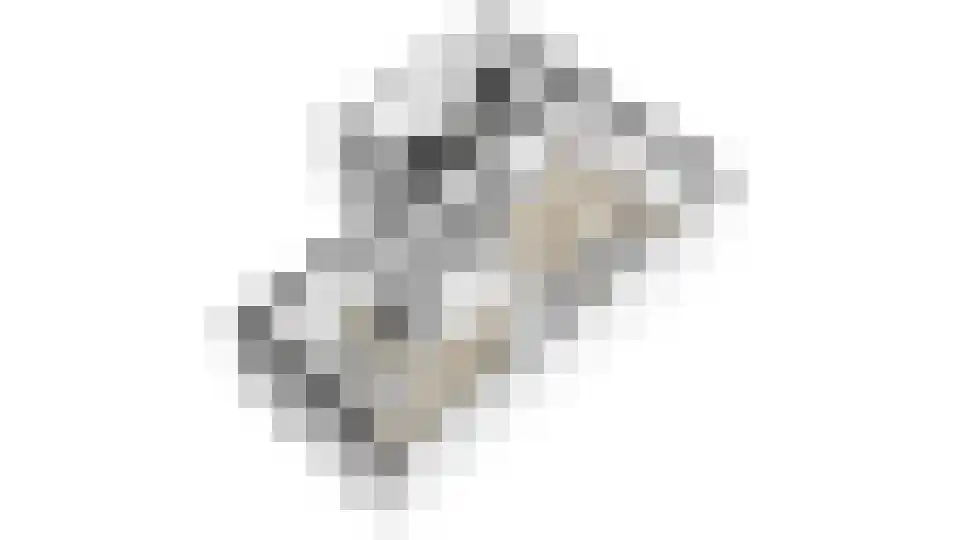 Blazoenlaan 47 a Zeeland thumbnail 46