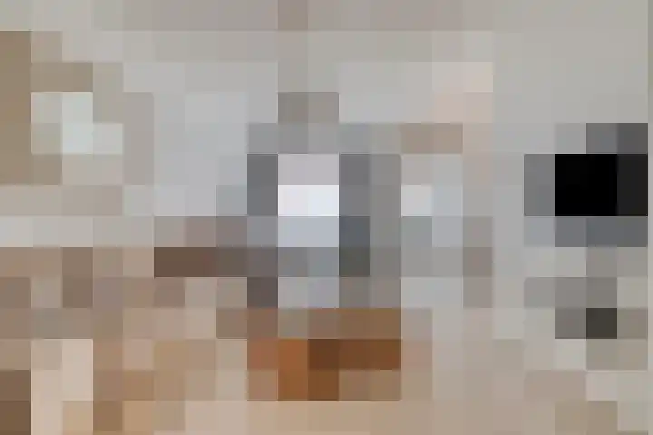 Blazoenstraat 10 Tilburg thumbnail 10