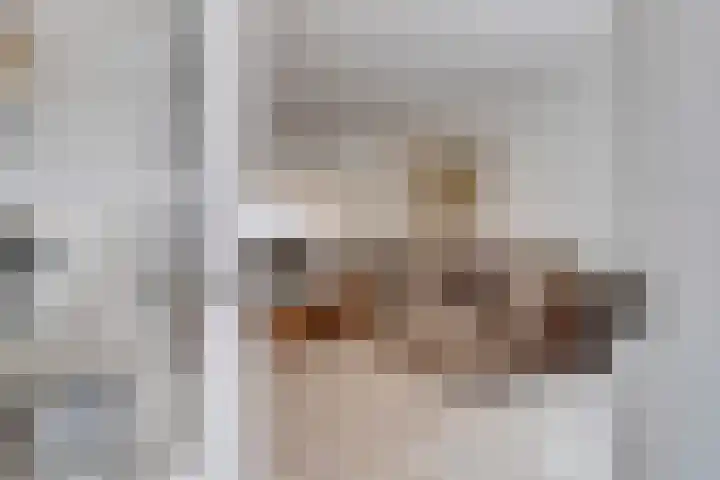 Blazoenstraat 10 Tilburg thumbnail 5